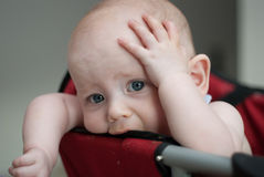 cabea-preocupada-da-terra-arrendada-do-beb-24781679